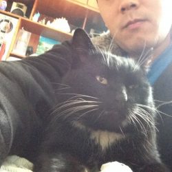黑猫