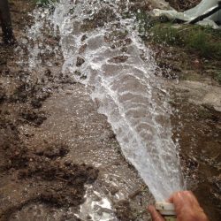 浇了一天半的水，终于把门前的果树浇完了，当时感觉不累跟玩似的，现在好疲乏。 2017年5月