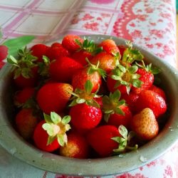 家里的草莓越来越多啦 2017年5月