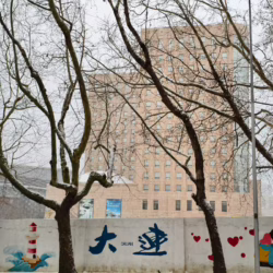 雪中的大连